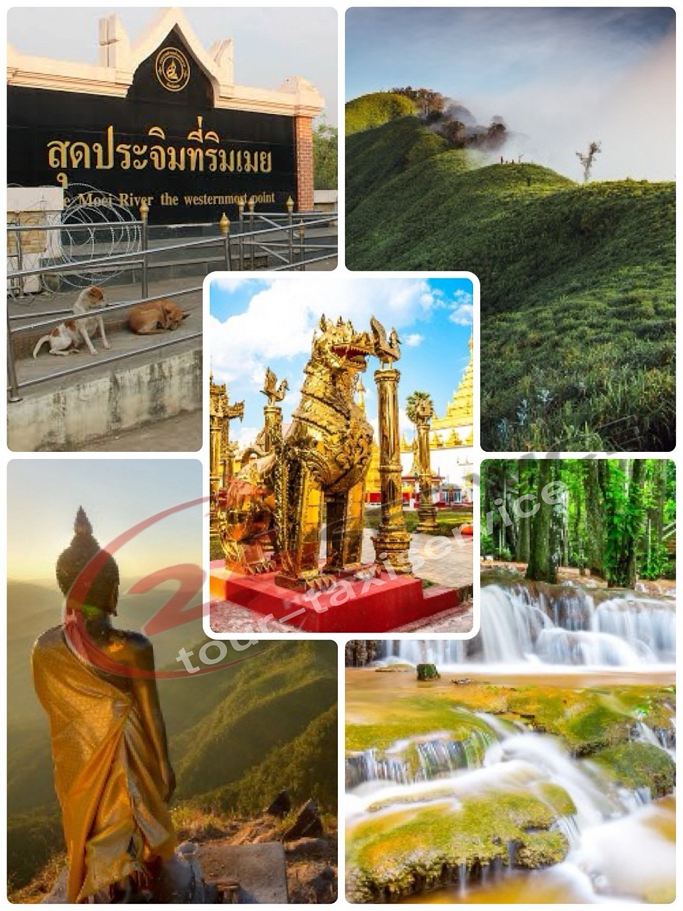 รถที่เราเอาไว้ใช้ในบริการ